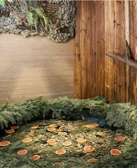 СПА и Массаж