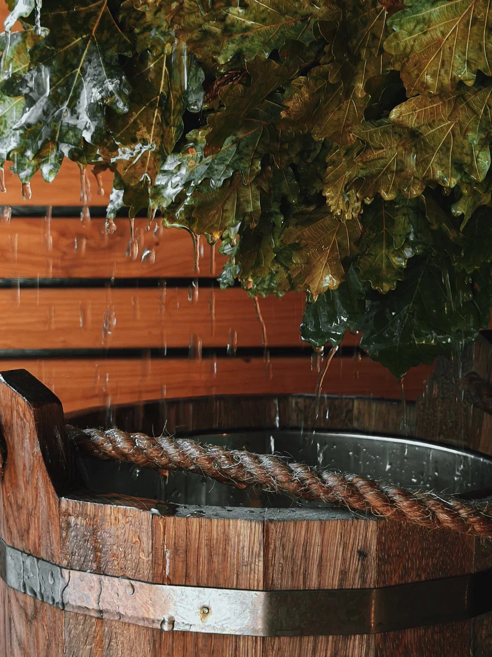 Окно в Европу